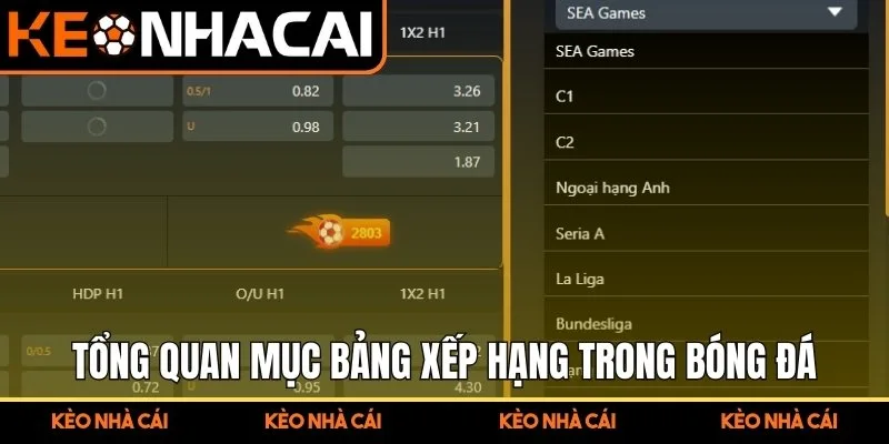 Bảng Xếp Hạng - Theo Dõi Vị Trí Đội Bóng Và Dữ Liệu Giải Đấu 1 Tổng quan mục bảng xếp hạng trong cá cược bóng đá