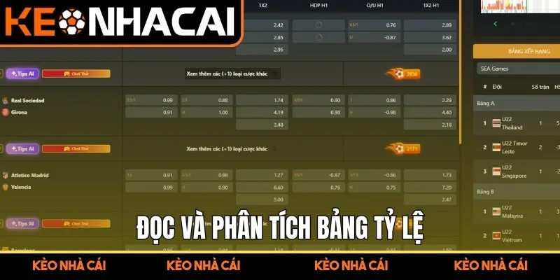 Đọc và phân tích bảng tỷ lệ 