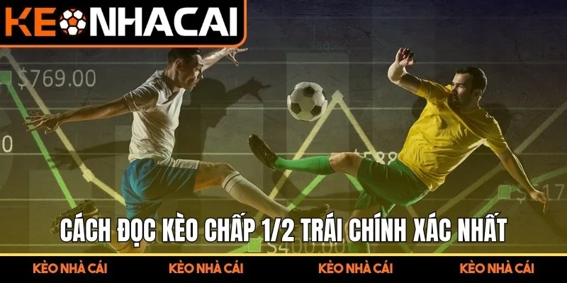 Kèo Chấp Nửa Trái – Hướng Dẫn Bắt Kèo Cho Người Mới Bắt Đầu 2 Cách đọc kèo chấp 1/2 trái chính xác nhất