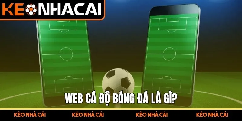 Web cá độ bóng đá là gì?