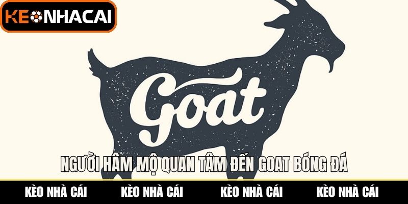 Người hâm mộ quan tâm đến GOAT bóng đá