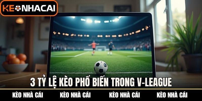 Kèo V-League: Đọc Vị Kèo Bóng Đá Việt Nam Từ Chuyên Gia 2 3 tỷ lệ kèo phổ biến trong V-league