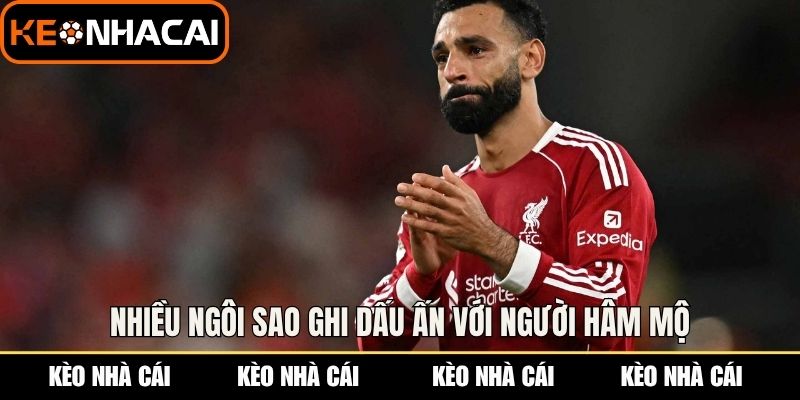 Nhiều ngôi sao ghi dấu ấn với người hâm mộ